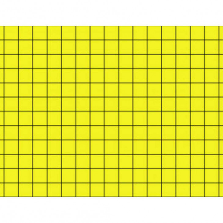 PLAQUE DE GLU 245X426MM CARTON JAUNE 1 FACE QUADRILLEE X6