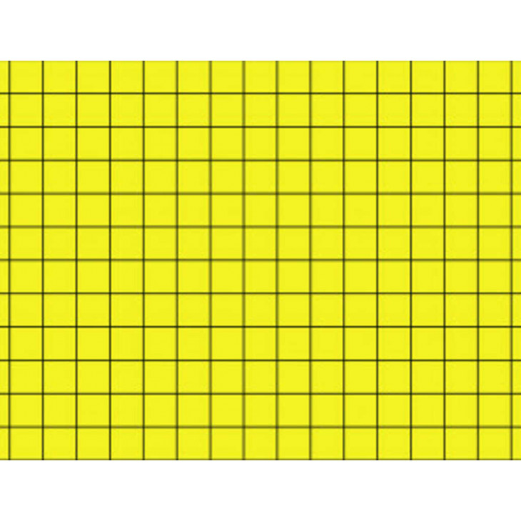 PLAQUE DE GLU 300X390MM CARTON JAUNE 1 FACE QUADRILLEE X6