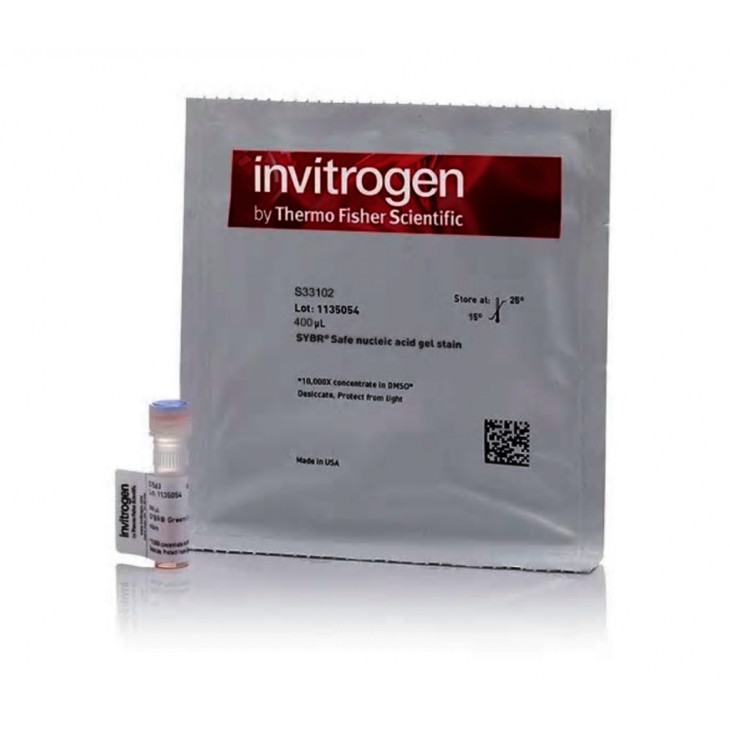 GEL DE COLORATION D'ADN SYBR SAFE INVITROGEN S33102 - 400uL