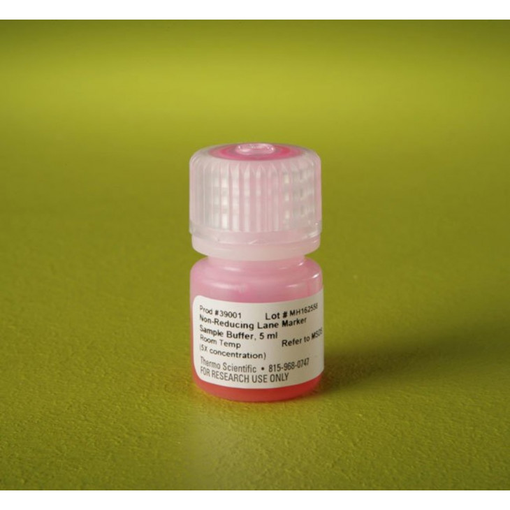 SOLUTION TAMPON ECHANTILLON PIERCE LANE MARKER 39001 - 5ML