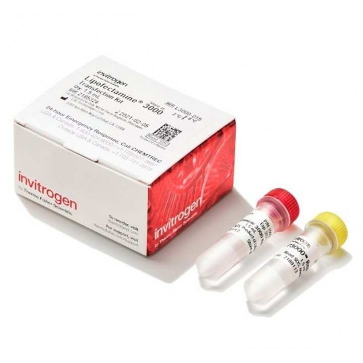 LIPOFECTAMINE 3000 - 24 PUITS DE 1.5ML