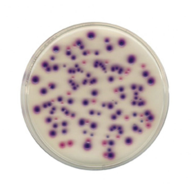 CHROMOCULT COLIFORMES GELOSE ES 100850 - 500G