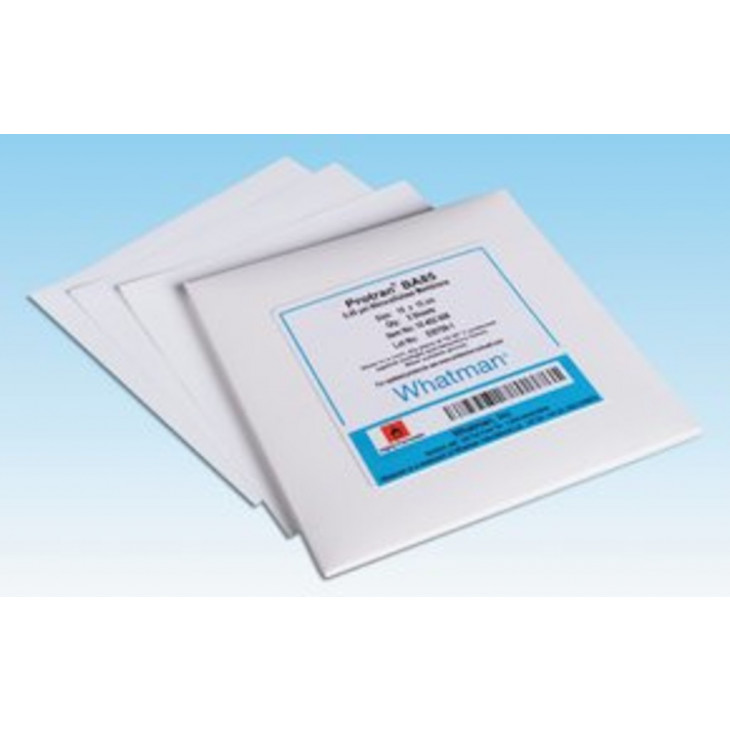 MEMBRANES FILTRANTES NITRATE CELLULOSE 47MM 1UM - PACK 100