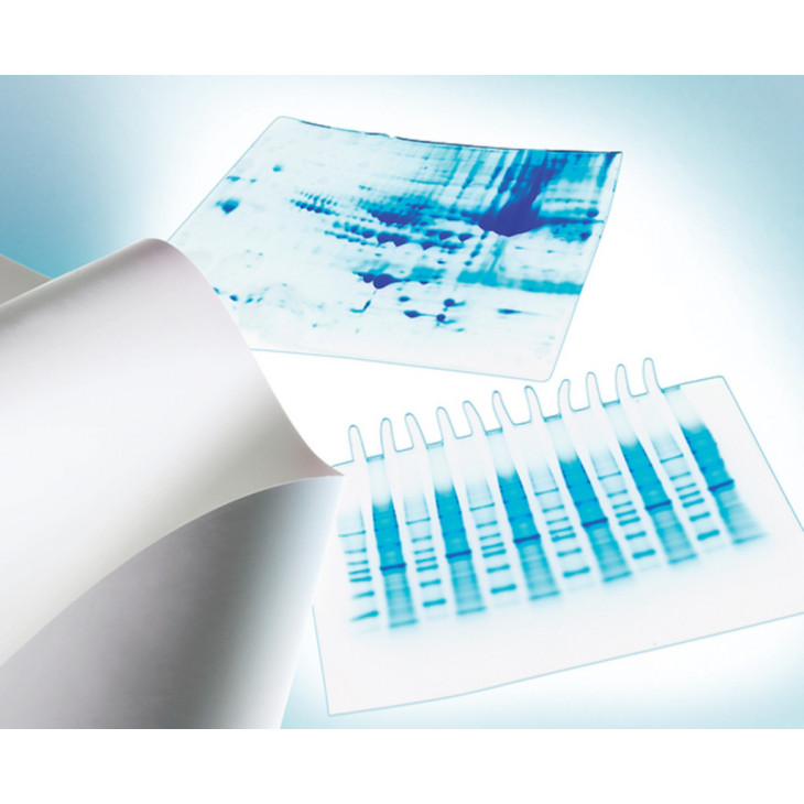 MEMBRANE EN PVDF IMMOBILON-P P.0,45UM D.20X20CM - PACK 10