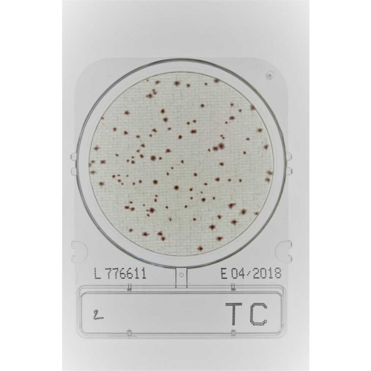 COMPACT DRY TC (FLORE TOTALE) SACHET DE 4 BOITES