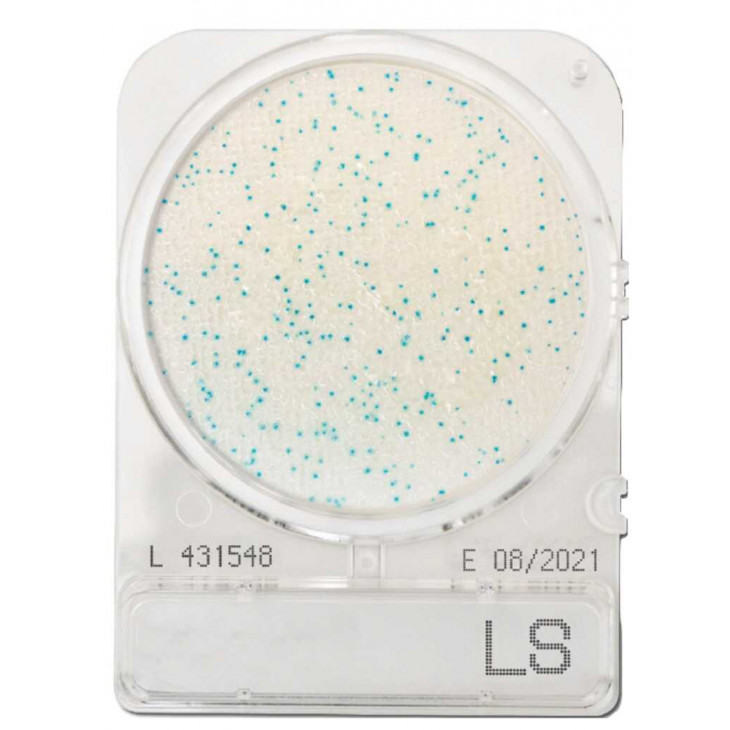 COMPACT DRY LS (LISTERIA) - PAR SACHET DE 4