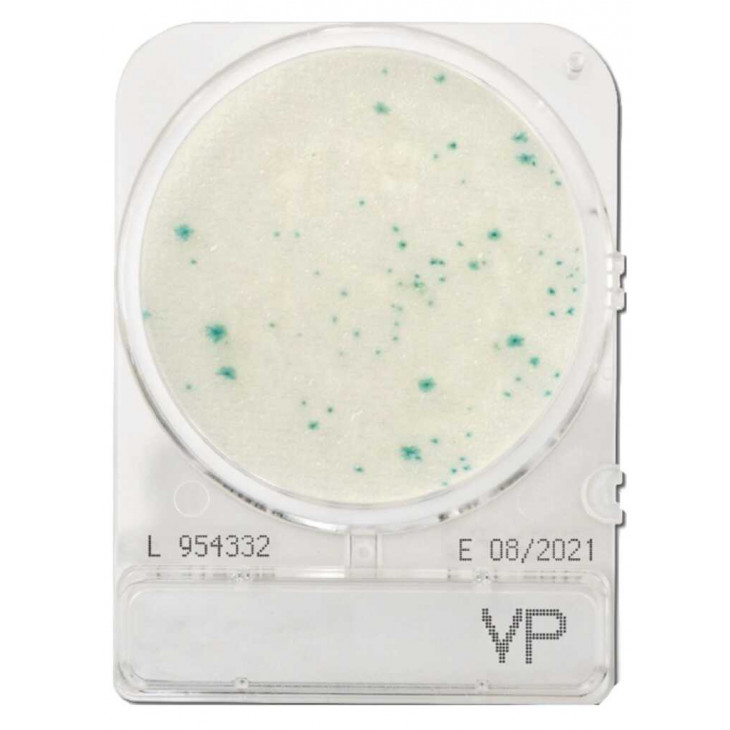 COMPACT DRY VP (VIBRIO) SACHET DE 4 BOITES
