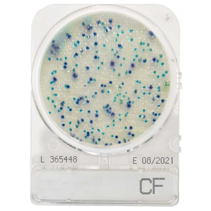 COMPACT DRY CF (COLIFORMES) SACHET DE 4 BOITES