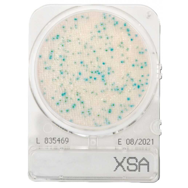 COMPACT DRY XSA (STAPH.AUREUS) SACHET DE 4 BOITES