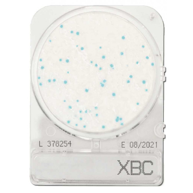 COMPACT DRY XBC (BACILLUS) SACHET DE 4 BOITES