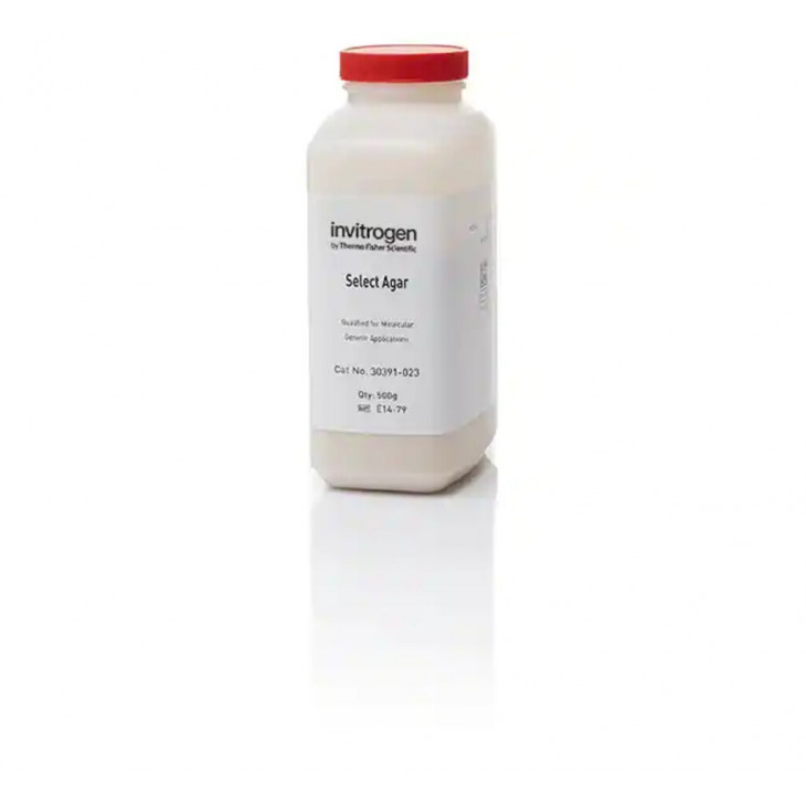 SELECT AGAR INVITROGEN - 500G