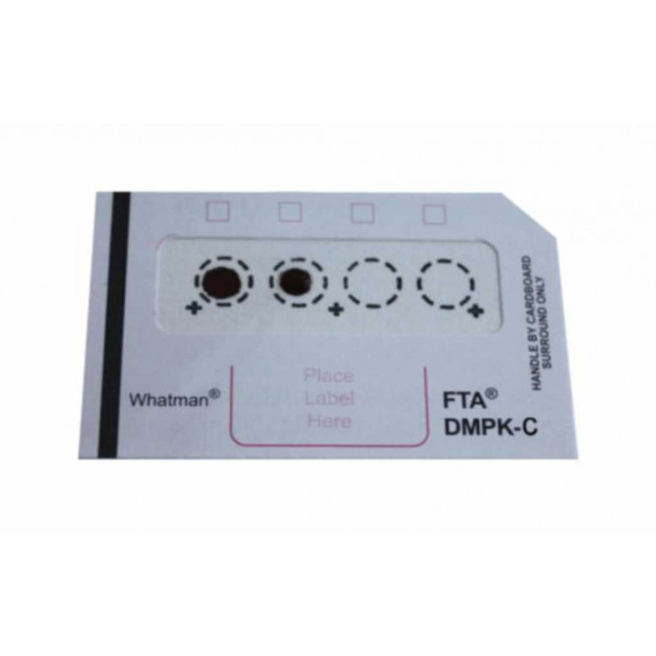 CARTE WHATMAN FTA DMPK-B BLANCHE WHATMAN 129242 - P.100