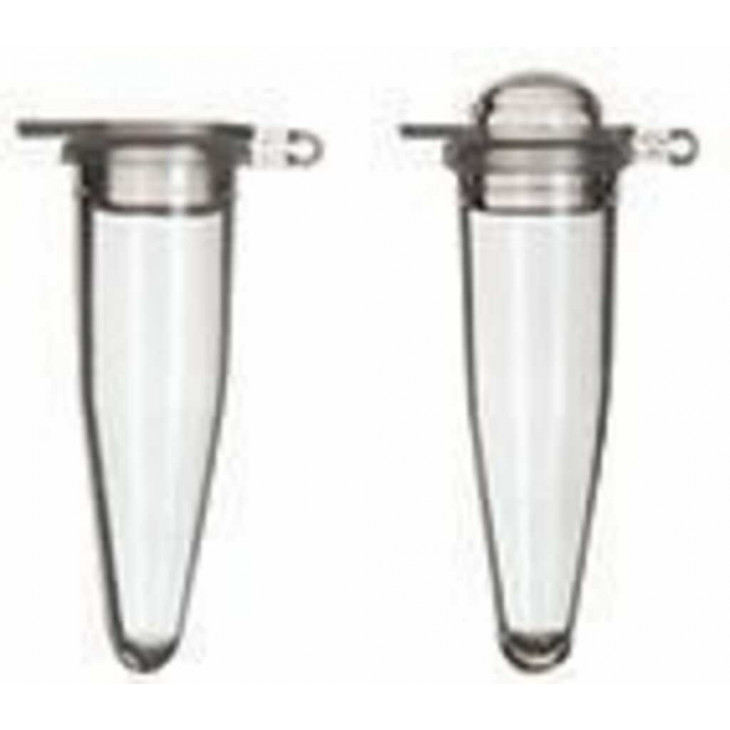 MICROTUBE EN PP NATUREL POUR PCR 0,2ML AVEC BCH PAR 1000