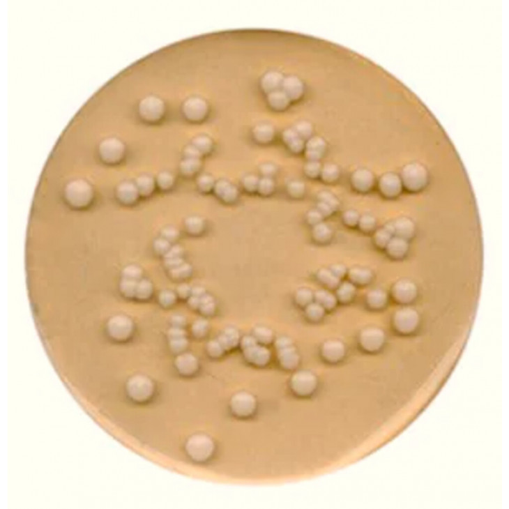 POTATO DEXTROSE AGAR SIGMA P2182 - 250G