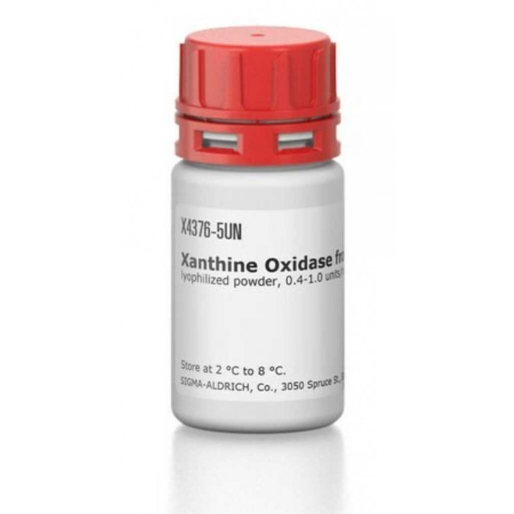 XANTHINE OXIDASE, FROM BOVINE MILK SIGMA X4376-5UN