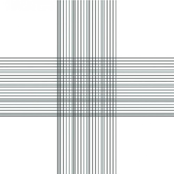 CELLULE DE NUMERATION THOMA DOUBLE AVEC PINCES