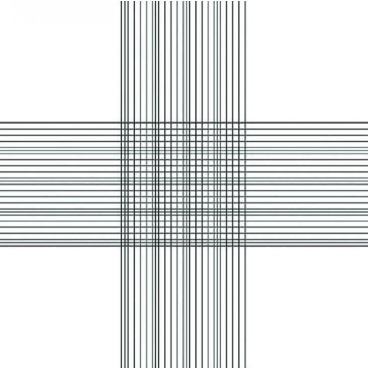 CELLULE DE NUMERATION THOMA DOUBLE AVEC PINCES