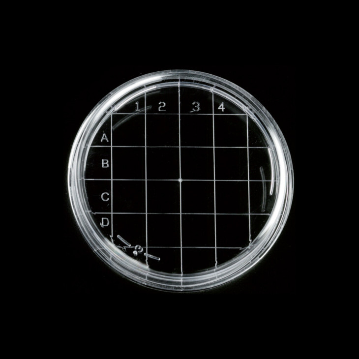 BOITE CONTACT RODAC STERILE D.65.8X14,7MM - X500 SS 20