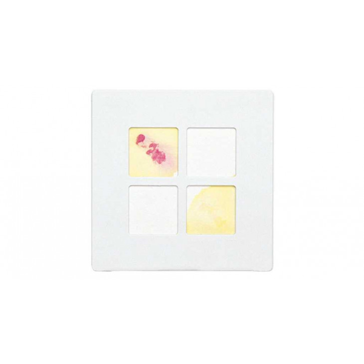DRYSLIDE TEST D'IDENTIFICATION SUR CARTE OXYDASE BD231746-P75