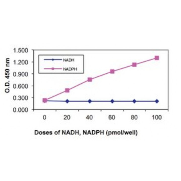 NADP/NADPH QUANTITATION KIT SIGMA MAK038 - 1KT
