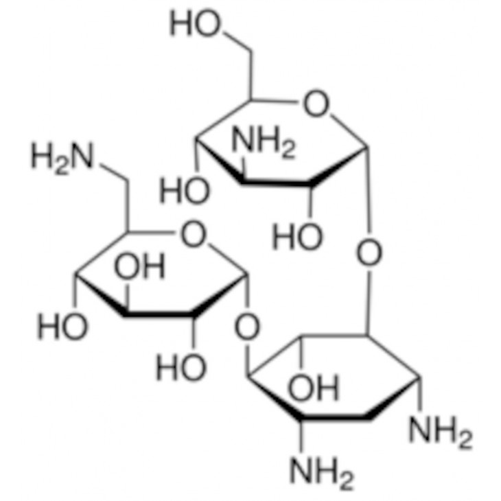 SOLUTION DE KANAMYCINE 50MG/ML SIGMA K0254-20ML