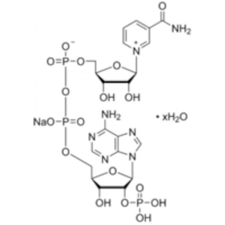 B-NICOTINAMIDE ADENINE 30% SIGMA N0505 - 100MG