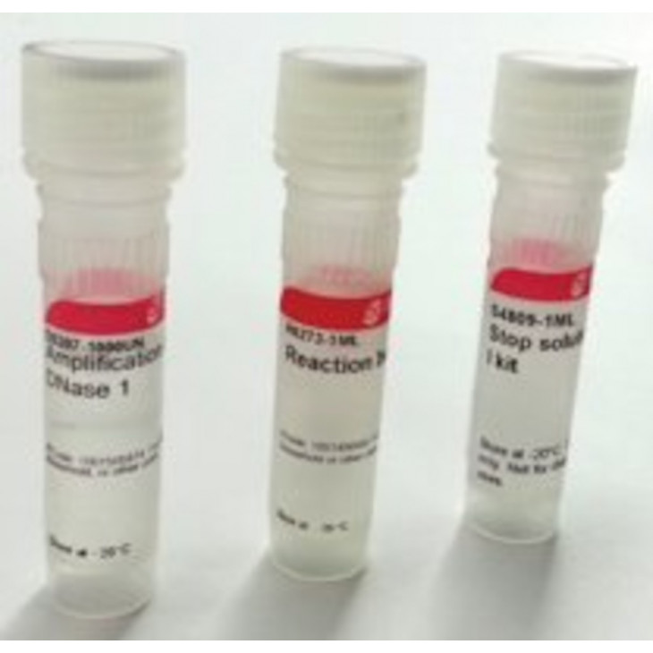 DNASE I AMPLIFICATION GRADE SIGMA AMPD1 - 1KT