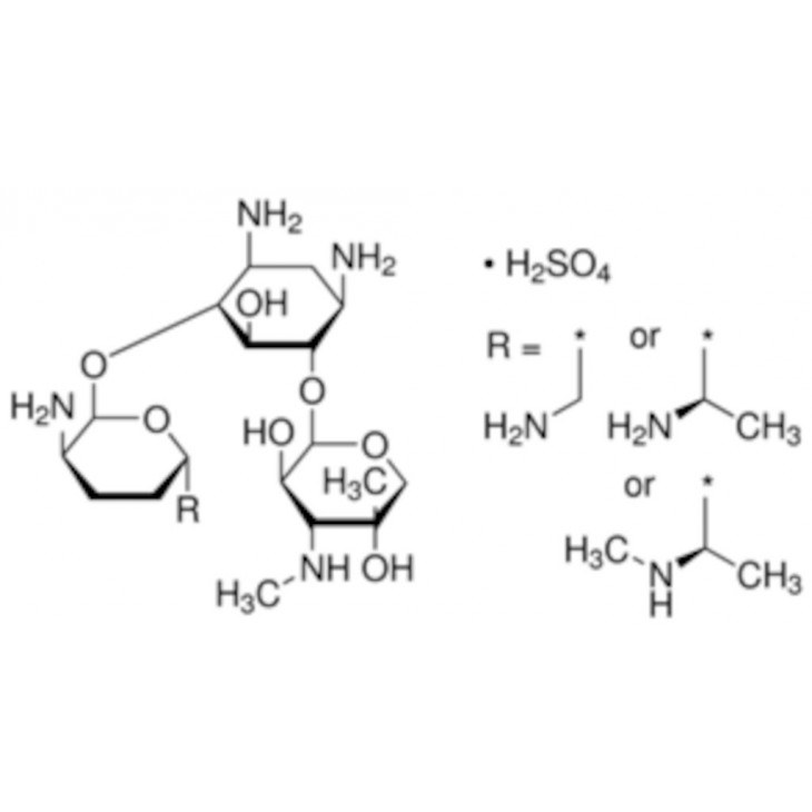 GENTAMICIN SOLUTION 50MG/ML SIGMA G1397 - 10ML