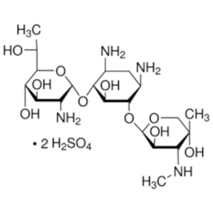 SEL DISULFATE G 418 SIGMA - A1720 - 1G