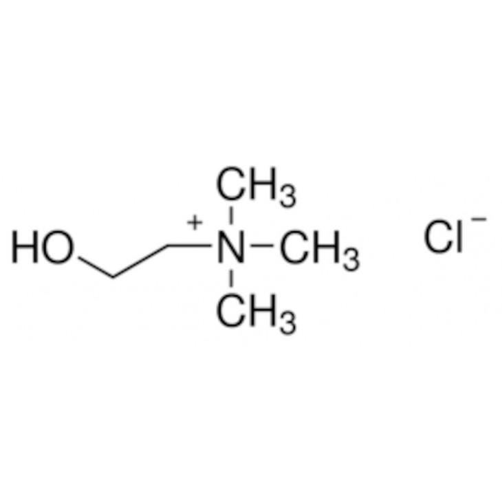 CHLORURE DE CHOLINE >98% C1879 -5KG