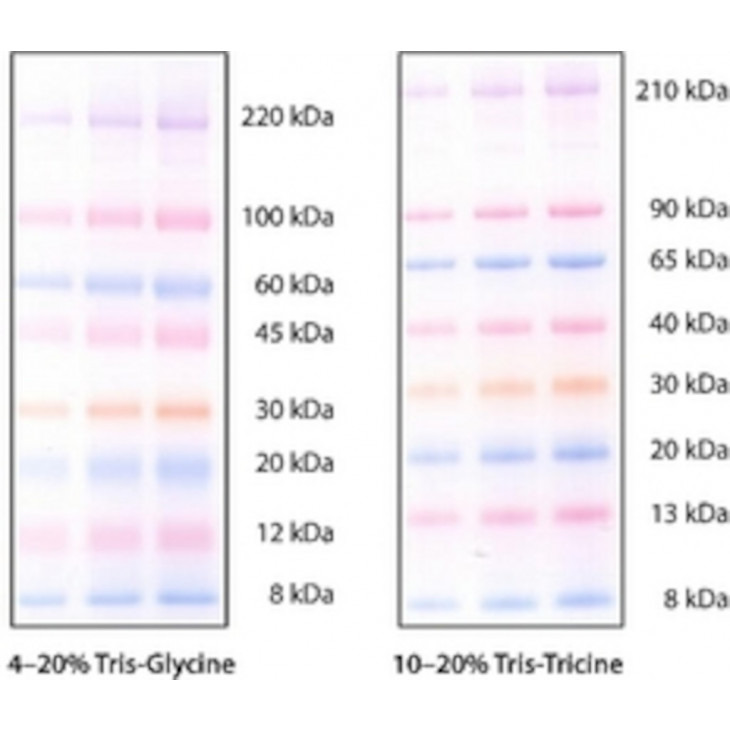 COLORBUST ELECTROPHORESIS MARKER SIGMA C1992 - 1VL
