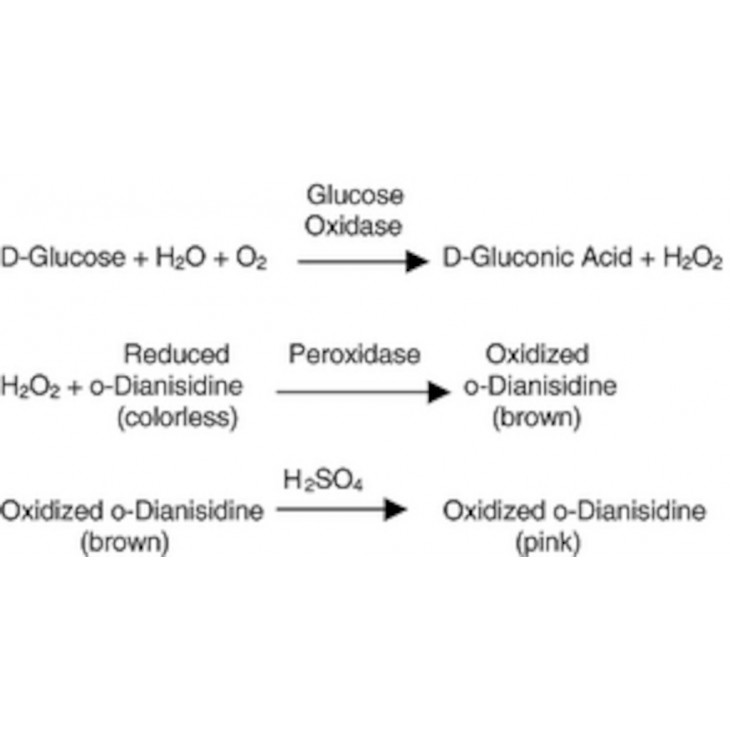 GLUCOSE OXYDASE FROM ASPERGILLUS NIGER - G2133 - PACK X 10 000