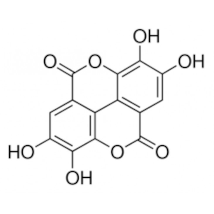 ACIDE ELLAGIQUE >95% (HPLC) POUDRE SIGMA E2250 - 1G