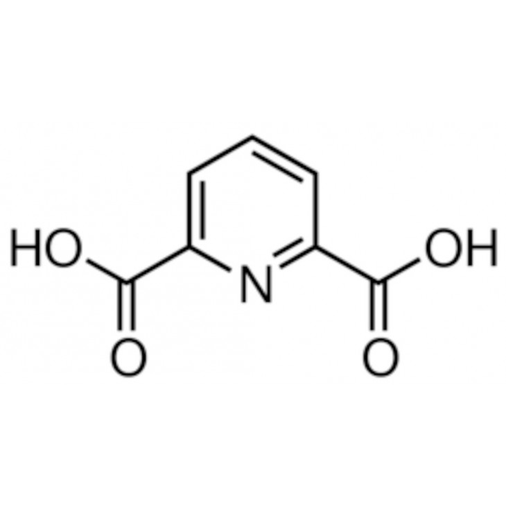 2,6-ACIDE PYRIDINEDICARBOXYLI- QUE >99,5% - 02321 - 10G