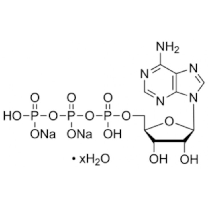 ADENOSINE 5' -TRIPHOSPHATE DISOD.SEL SIGMA A2383-5G