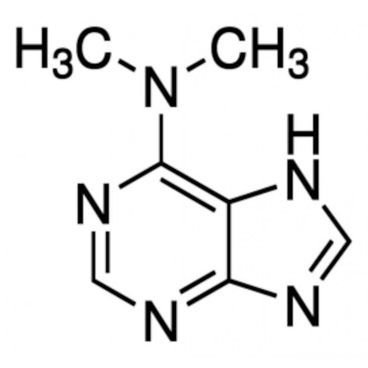 6-DIMETHYLAMINOPURINE SIGMA D2629-1G