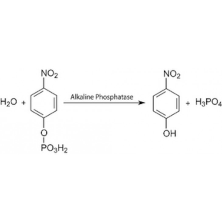 P-NITROPHENYL PHOSPHATE PR 20 ML SIGMA N2770 - 50TAB