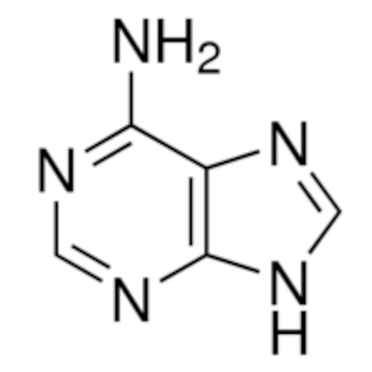 ADENINE SIGMA A2786-100G