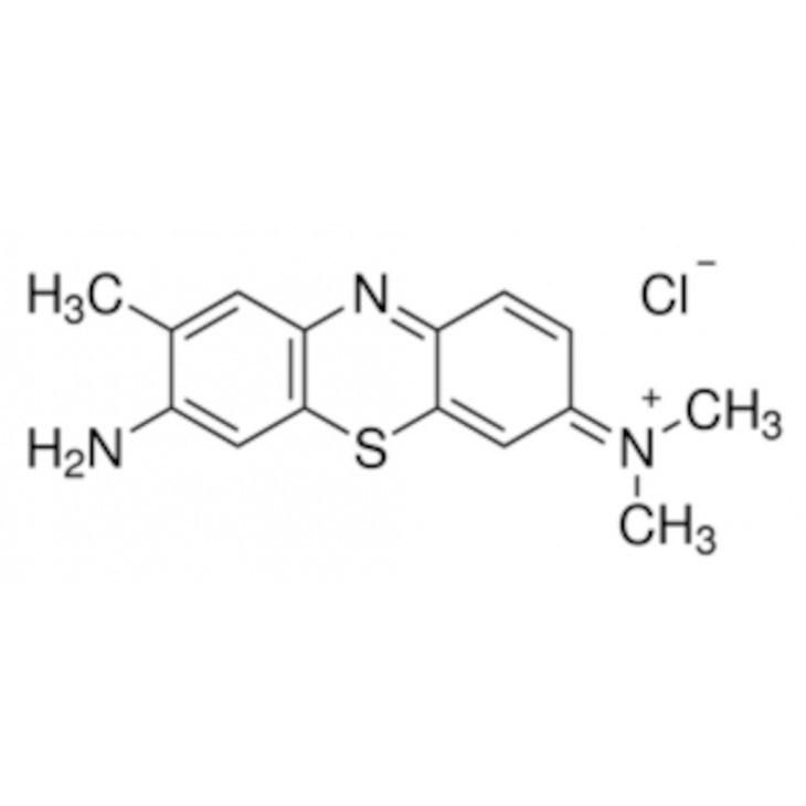 TOLUIDINE BLUE O TECHNIQUE SIGMA T3260 - 100G