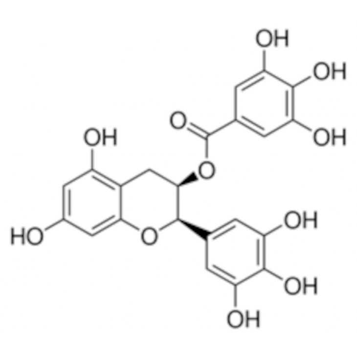 (-)-EPIGALLOCATECHIN GALLATE >95% - E4143 - 50MG