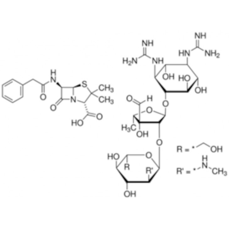PENICILLINE - STREPTOMYCINE SOLUTION - P4333 - 100ML