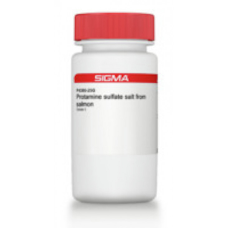 PROTAMINE SEL DE SULFATE SIGMA P4380 - 25G