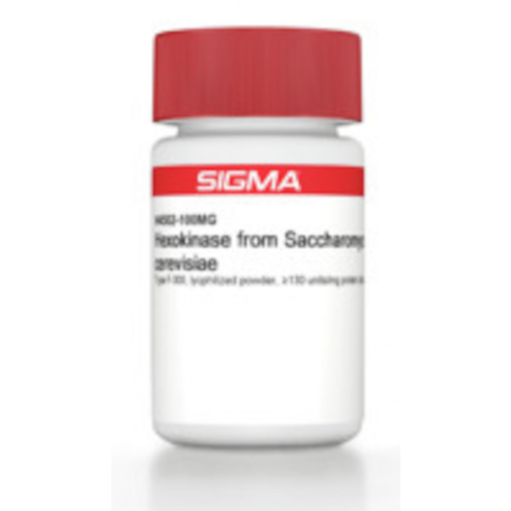 HEXOKINASE DE SACCHAROMYCES CEREVISAE SIGMA H4502 - 1KU