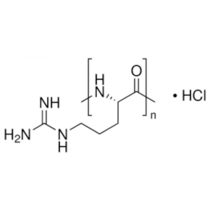 POLY-L-ARGININE HYDROCHLORIDE SIGMA - P4663 - 10MG