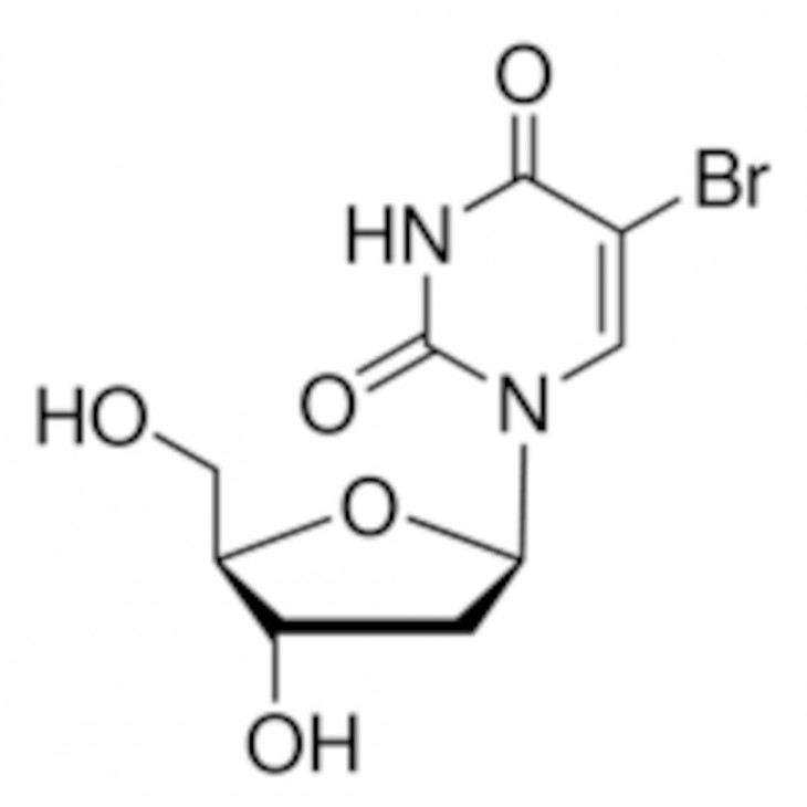 5-BROMO-2' DEOXYURIDINE >99% SIGMA B5002 - 1G