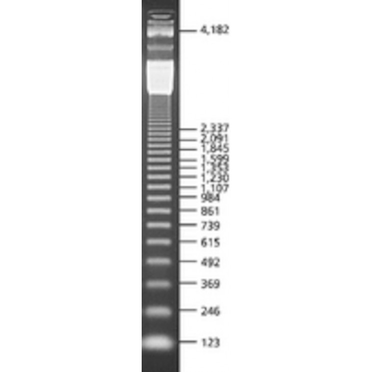 123 BP LADDER SIGMA D5042 - 1MG