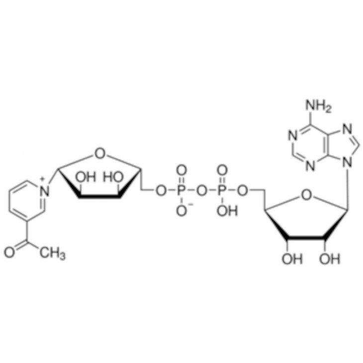 3-ACETYLPYRIDINE ADENINE DINUCLEOTIDE SIGMA A5251-25MG