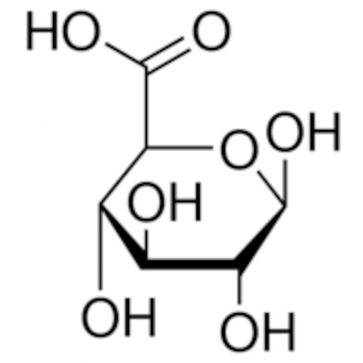 ACIDE D-GLUCURONIQUE >98% SIGMA - G5269 - 10MG