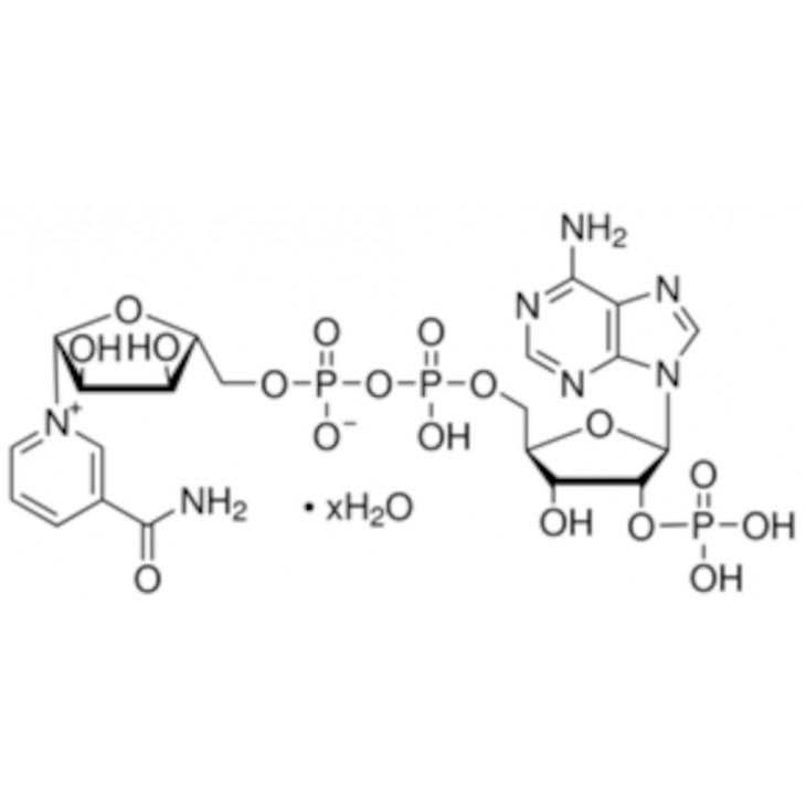 B-NICOTINAMIDE ADENINE DINUCLE OTIDE PHOSPHATE SIGMA N5755
