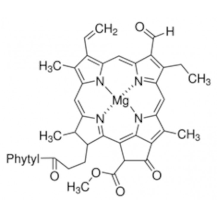 CHLOROPHYLL B AMPOULE SCELLEE SIGMA C5878 - 1MG